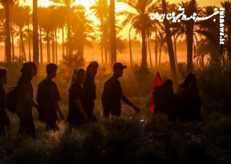 از تخریب حرم و مجازات اعدام برای زیارت تا راهپیمایی میلیونی اربعین