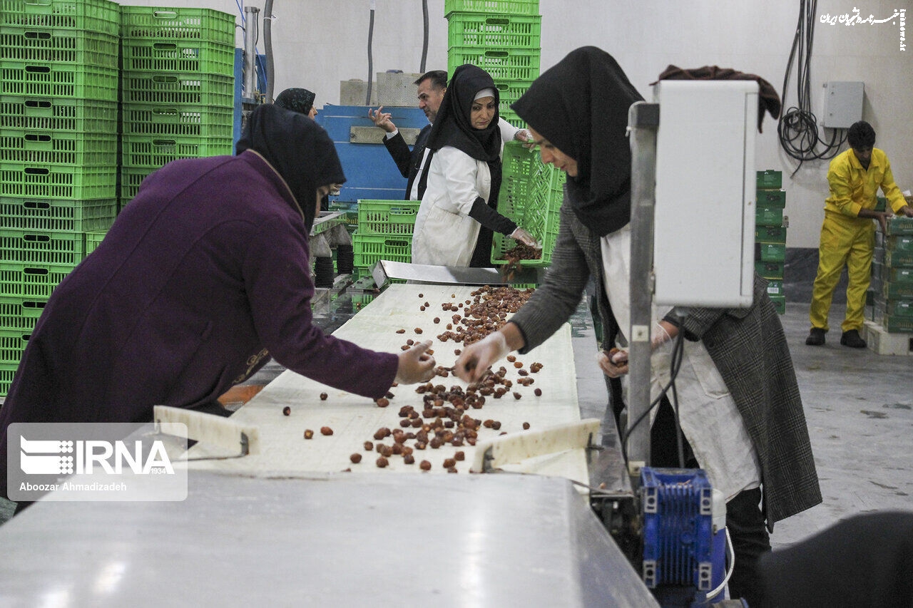 اجرای مدل تأمین مالی مشاغل خرد زنان