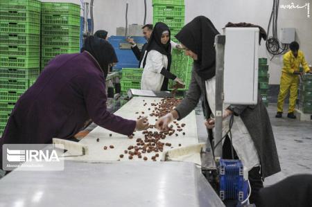 اجرای مدل تأمین مالی مشاغل خرد زنان