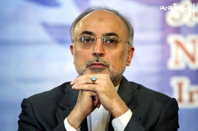 صالحی: درباره مسایل اصلی کشور باید با دانش، نگاه ژرف و تاریخی سخن گفت