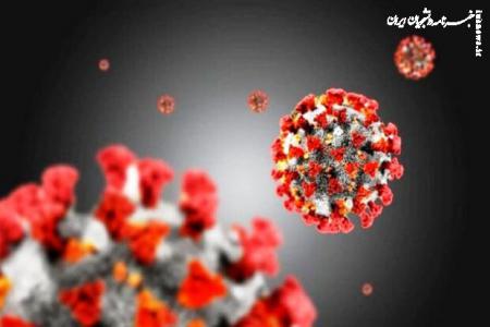 سویه جدید کووید در کشور فراگیر شد