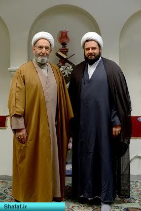 سریال پرده نشین