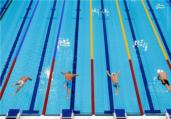 رقابت سریعترین مردان شناگر در استخر