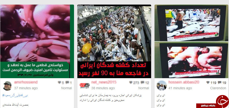 کمپین «بی کفایتی آل سعود» +تصاویر 