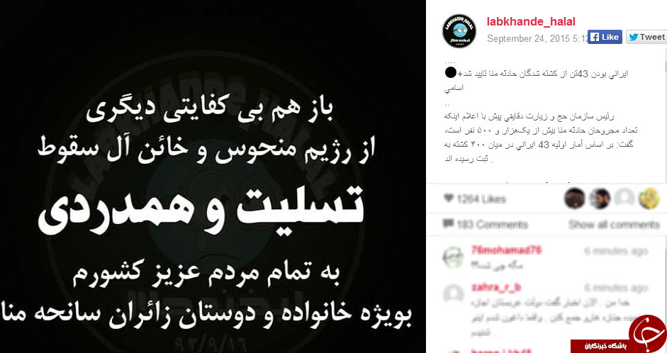 کمپین «بی کفایتی آل سعود» +تصاویر 