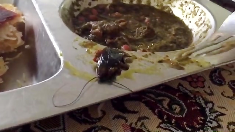 سوسک در غذای دانشجویان دانشگاه منتظری مشهد +عکس