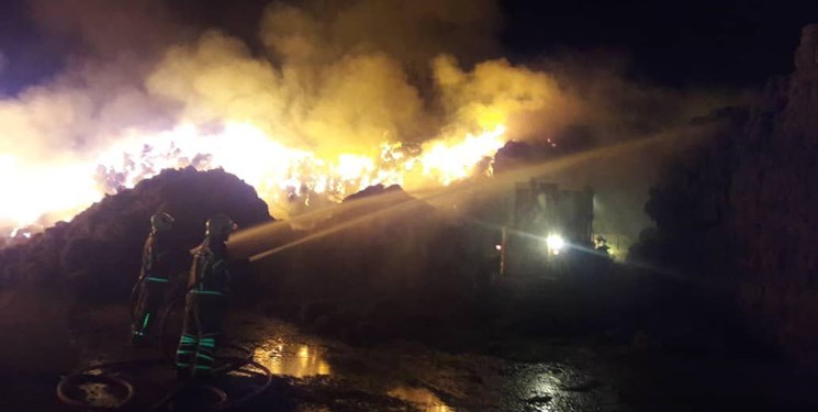 آتش سوزی گسترده در دامداری جنوب تهران