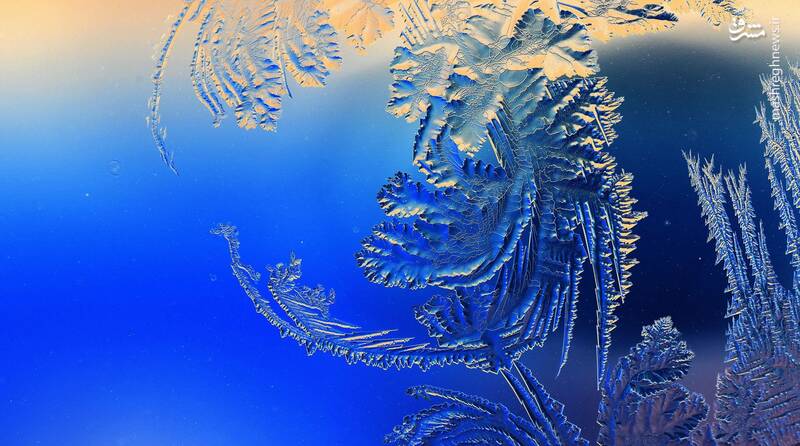 تصویر میکروسکوپی از برف
