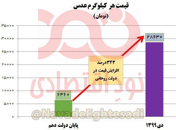 گرانی ۳۴۳ درصدی قیمت عدس در دولت روحانی +جدول