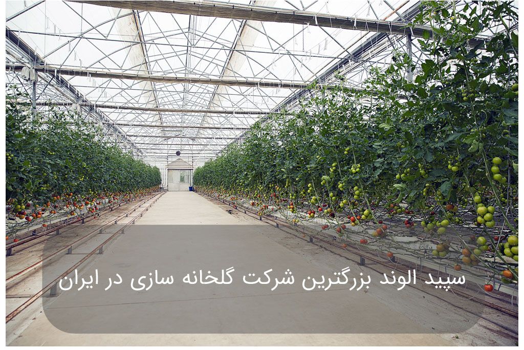 سپید الوند بزرگترین شرکت گلخانه‌سازی در ایران