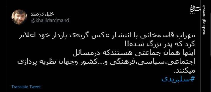 پدر بزرگ شدن آقای نظریه پرداز