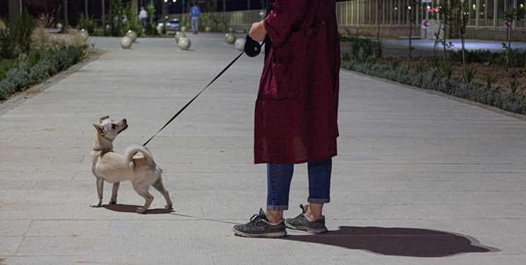 سگ گردانی در محل بازی کودکان در بوستان ها ممنوع شد 