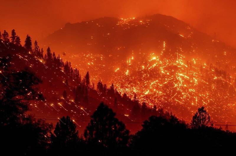 وقتی جنگل‌های کالیفرنیا به رنگ خون در می‌آید +عکس 