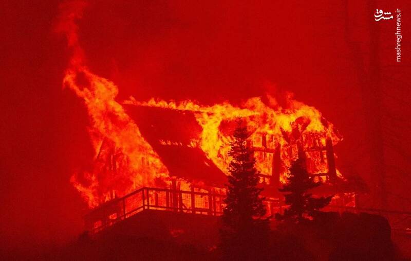کالیفرنیا در جهنم + عکس
