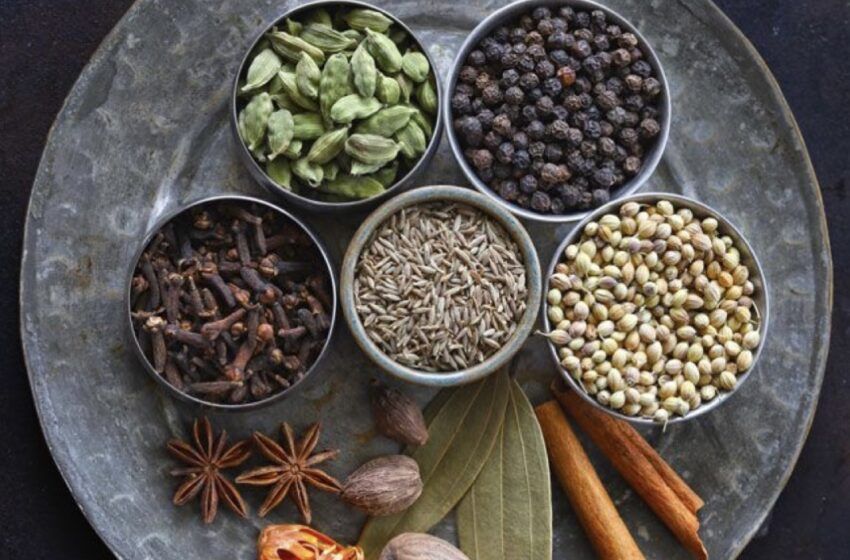 ترفندا یادت می‌ده استعدادت رو پیدا کنی