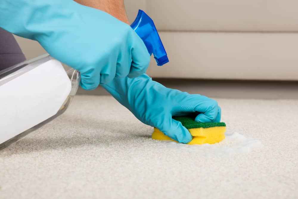 چگونه لکه سس گوجه فرنگی خشک شده را از فرش پاک کنیم؟