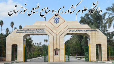 سردرگمی در دانشگاه های خوزستان موج می زند/ دانشگاه شهید چمران با فاجعه مدیریتی روبرو است