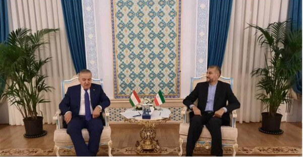 دیدار امیرعبداللهیان با وزیر امور خارجه تاجیکستان