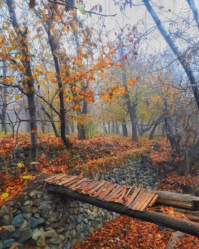 پاییز دیدنی در اطراف تهران + عکس