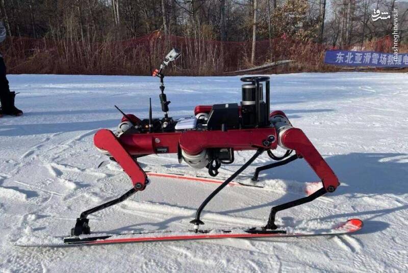 ربات چینی در حال اسکی بازی +عکس