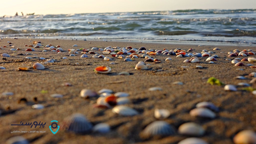 می‌خواهید ویلا ساحلی اجاره کنید؟ حتما این نکته‌ها را در نظر بگیرید