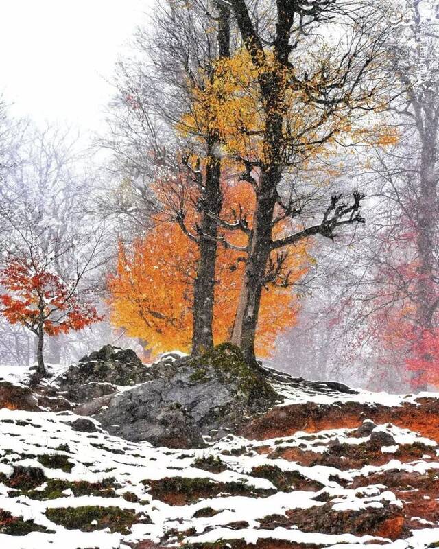 زیبایی زمستان در ارتفاعات تالش + عکس