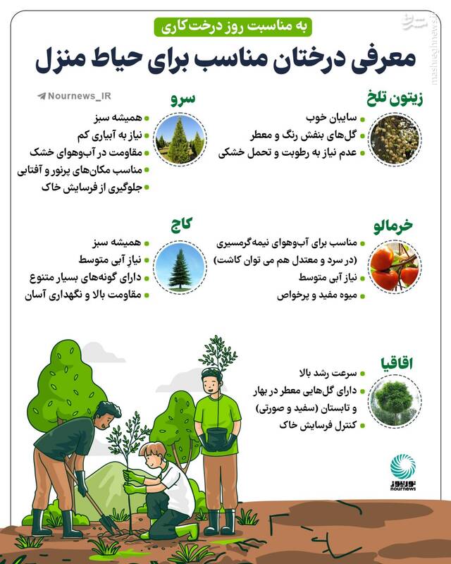معرفی درختان مناسب برای حیاط منزل