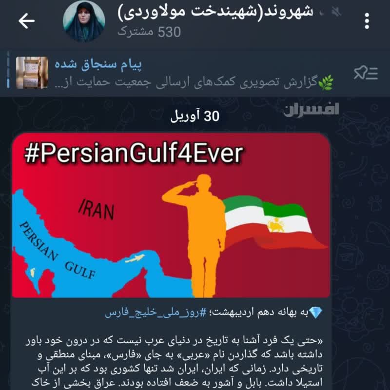 تبریک روز خلیج فارس توسط معاون سابق با پرچم سلطنت طلبان/ چرا اصرار دارید این همه اشتباه کنید؟
