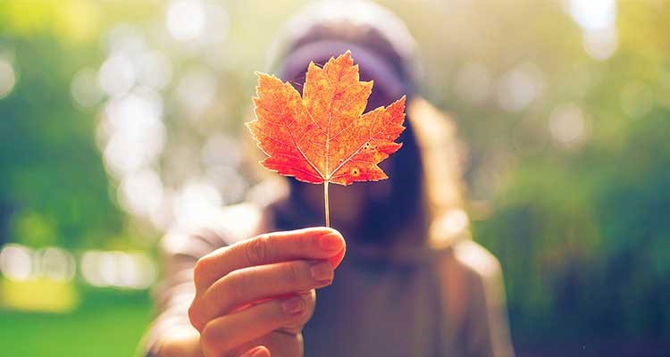 تجربه زندگی و مهاجرت به کانادا +نظرات شخصی