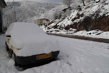چهره برفی کوهستان چالوس 