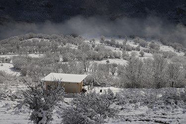 چهره برفی کوهستان چالوس 