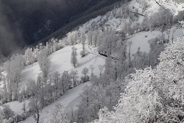 چهره برفی کوهستان چالوس 