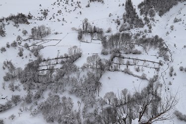 چهره برفی کوهستان چالوس 