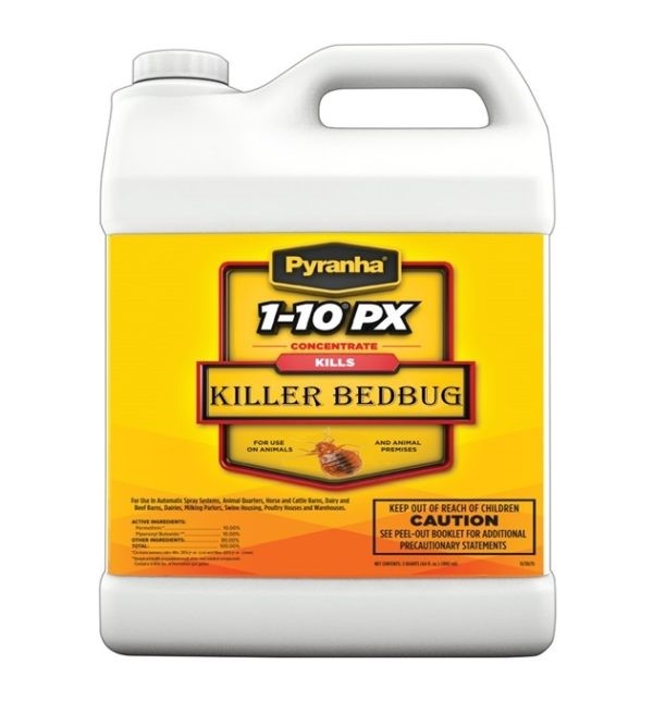 بیشتر شدن ساس در تهران و درمان قطعی ساس با سم ساس‌کش پیرانا