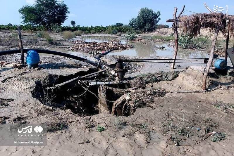  عکس/ خسارت‌های سیل به کشاورزی سیستان و بلوچستان