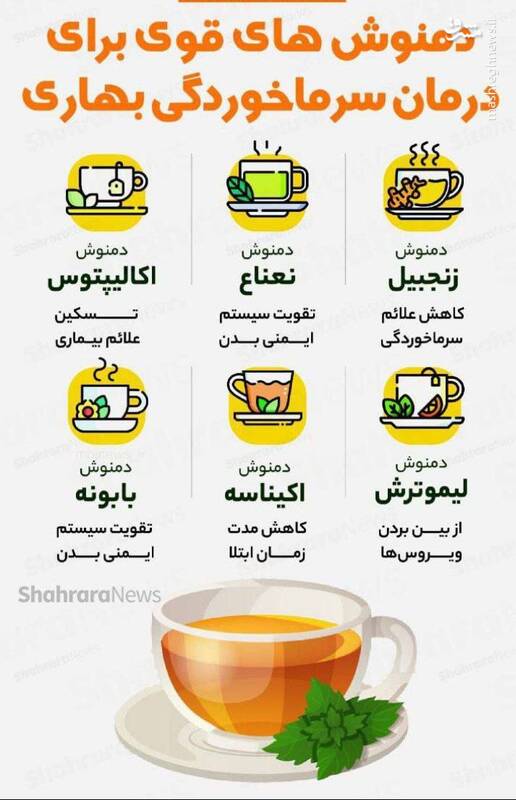  اینفوگرافیک/ دمنوش‌های قوی برای درمان سرماخوردگی بهاری